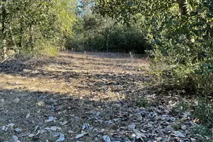 2355 Momence Ct, Alford, FL 32420 - Photo 37