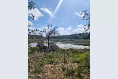 6405 Highway 77, Chipley, FL 32428 - Photo 11