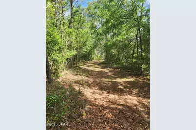 6405 Highway 77, Chipley, FL 32428 - Photo 7