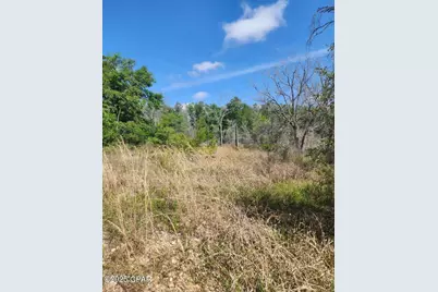 6405 Highway 77, Chipley, FL 32428 - Photo 11