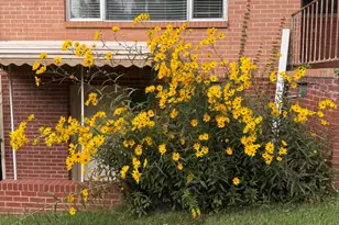 4291 6th Ave, Marianna, FL 32446 - Photo 47