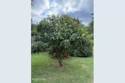 4291 6th Avenue, Marianna, FL 32446 - Photo 45