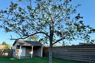 1209 Emory Dr, Panama City, FL 32405 - Photo 5