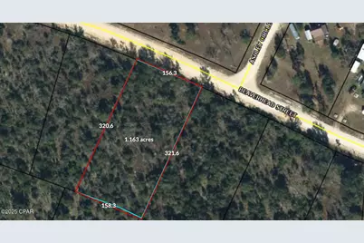 000 Beaverhead Street, Alford, FL 32420 - Photo 3