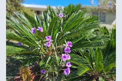 2056 Sunny Hills Boulevard, Chipley, FL 32428 - Photo 23