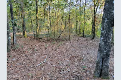 0000 Hardwood Lane, Ponce de Leon, FL 32455 - Photo 9