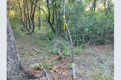 0000 Hardwood Lane, Ponce de Leon, FL 32455 - Photo 7