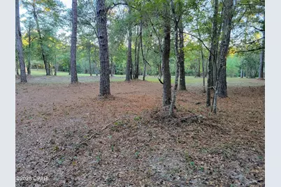 0000 Hardwood Lane, Ponce de Leon, FL 32455 - Photo 1