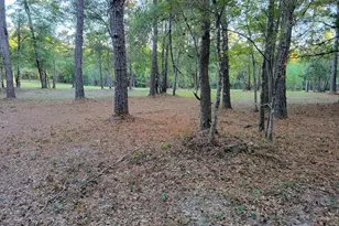 0000 Hardwood Ln, Ponce de Leon, FL 32455 - Photo 1