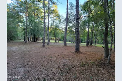 0000 Hardwood Lane, Ponce de Leon, FL 32455 - Photo 5