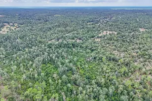 11233 Lawrence Rd, Fountain, FL 32438 - Photo 41