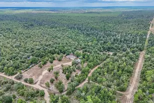 11233 Lawrence Rd, Fountain, FL 32438 - Photo 39