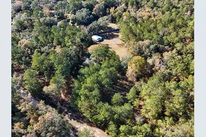 1680 Will Lee Road, Bonifay, FL 32425 - Photo 19