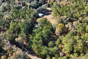 1680 Will Lee Rd, Bonifay, FL 32425 - Photo 19