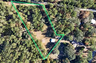 1680 Will Lee Rd, Bonifay, FL 32425 - Photo 17