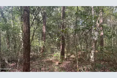 0 Strickland Road, Ebro, FL 32437 - Photo 5