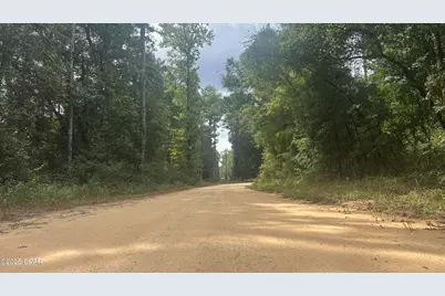 0 Strickland Road, Ebro, FL 32437 - Photo 3