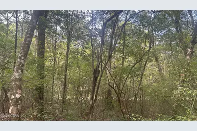 0 Strickland Road, Ebro, FL 32437 - Photo 15