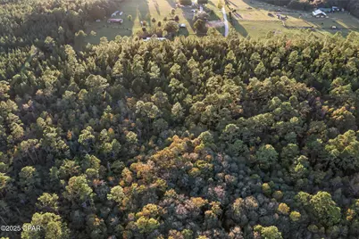 Xxx Parrish Still Road, Vernon, FL 32462 - Photo 17