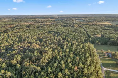 Xxx Parrish Still Road, Vernon, FL 32462 - Photo 19