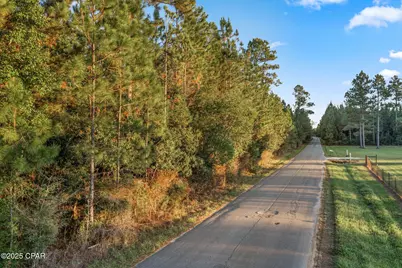 Xxx Parrish Still Road, Vernon, FL 32462 - Photo 3