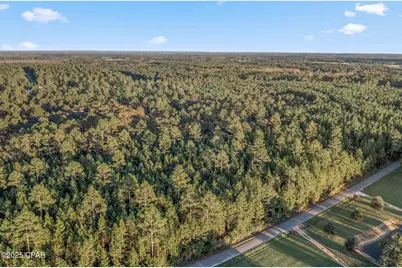 Xxx Parrish Still Road, Vernon, FL 32462 - Photo 21