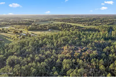 Xxx Parrish Still Road, Vernon, FL 32462 - Photo 15