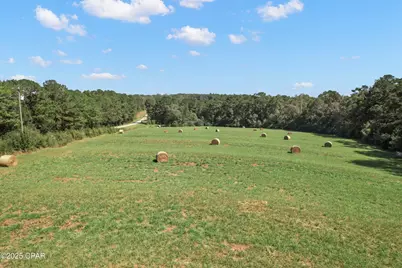 00 Hwy 160 Highway, Westville, FL 32464 - Photo 7