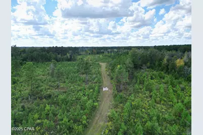000 River Road, Sneads, FL 32460 - Photo 5
