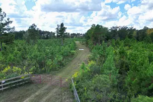 000 River Rd, Sneads, FL 32460 - Photo 1
