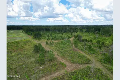 000 River Road, Sneads, FL 32460 - Photo 17