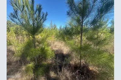 000 River Road, Sneads, FL 32460 - Photo 23