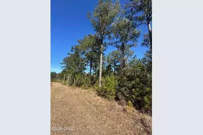 000 River Road, Sneads, FL 32460 - Photo 7