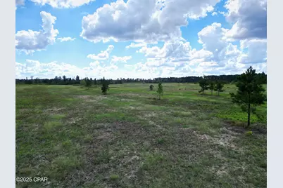 000 River Road, Sneads, FL 32460 - Photo 11