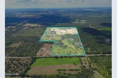 000 River Road, Sneads, FL 32460 - Photo 1