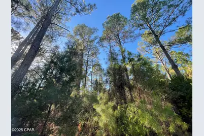 0010 Hawthorne Trail, Bonifay, FL 32425 - Photo 7