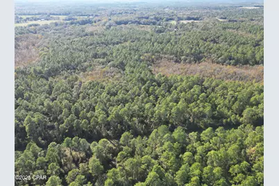 0010 Hawthorne Trail, Bonifay, FL 32425 - Photo 3