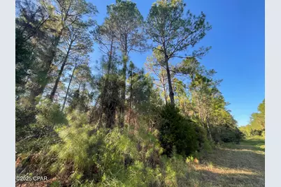 0010 Hawthorne Trail, Bonifay, FL 32425 - Photo 9