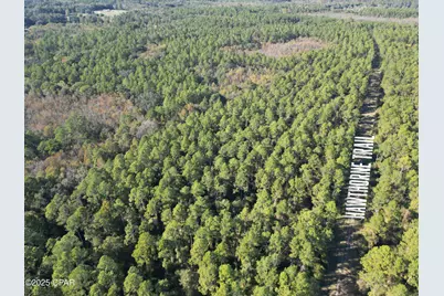 0010 Hawthorne Trail, Bonifay, FL 32425 - Photo 5