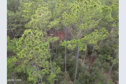 0010 Hawthorne Trail, Bonifay, FL 32425 - Photo 3