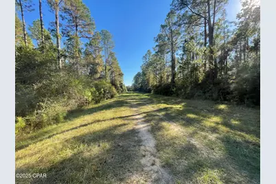 0010 Hawthorne Trail, Bonifay, FL 32425 - Photo 9