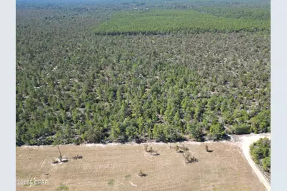 0050 Foxhunt Road, Chipley, FL 32428 - Photo 7