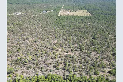 0050 Foxhunt Road, Chipley, FL 32428 - Photo 3