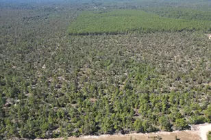 0050 Foxhunt Rd, Chipley, FL 32428 - Photo 1