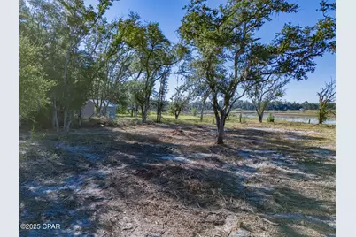 00 Little Wages Road Road, Chipley, FL 32428 - Photo 5