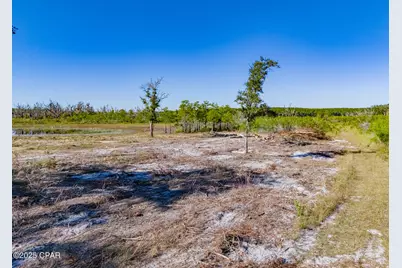 00 Little Wages Road Road, Chipley, FL 32428 - Photo 7