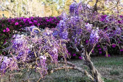 6641 Cedar Street, Wewahitchka, FL 32465 - Photo 29