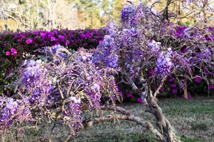 6641 Cedar St, Wewahitchka, FL 32465 - Photo 29