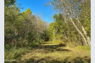 16540 NW County Road 379A, Bristol, FL 32321 - Photo 37