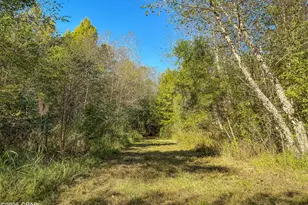 16540 NW County Road 379A, Bristol, FL 32321 - Photo 37